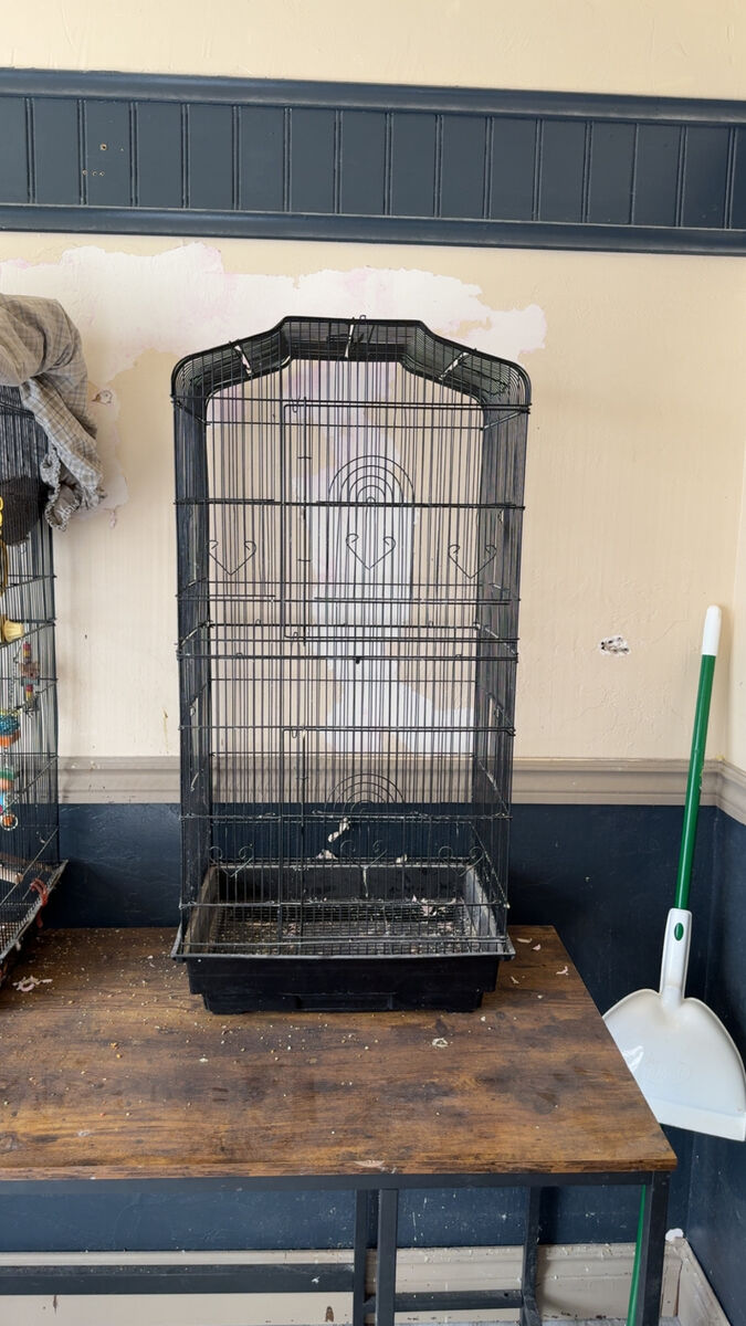 Bird Cage