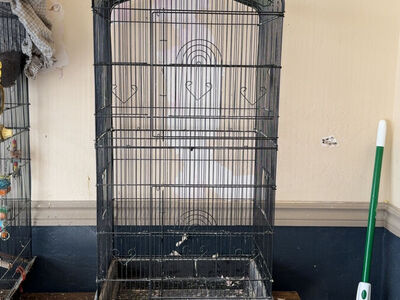Bird Cage