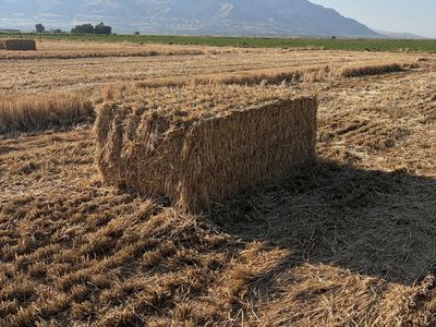 Straw Bales