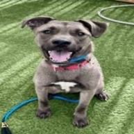 Hello my name is Leif