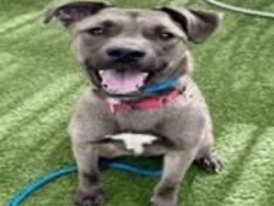 Hello my name is Leif