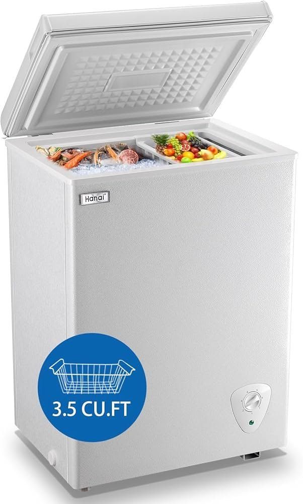 Chest Freezer / Mini Fridge