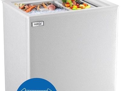 Chest Freezer / Mini Fridge