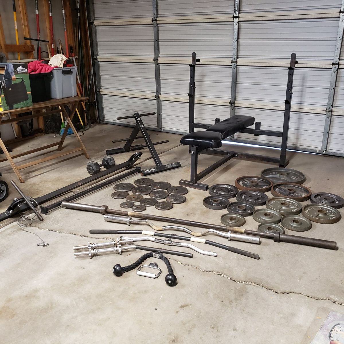 Lots of Gym Equipment