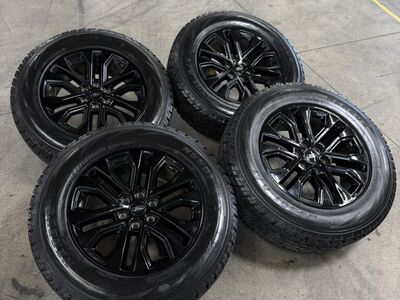NEW 2025 F150 Plati Blackout 20in Rims/ 275/65/20