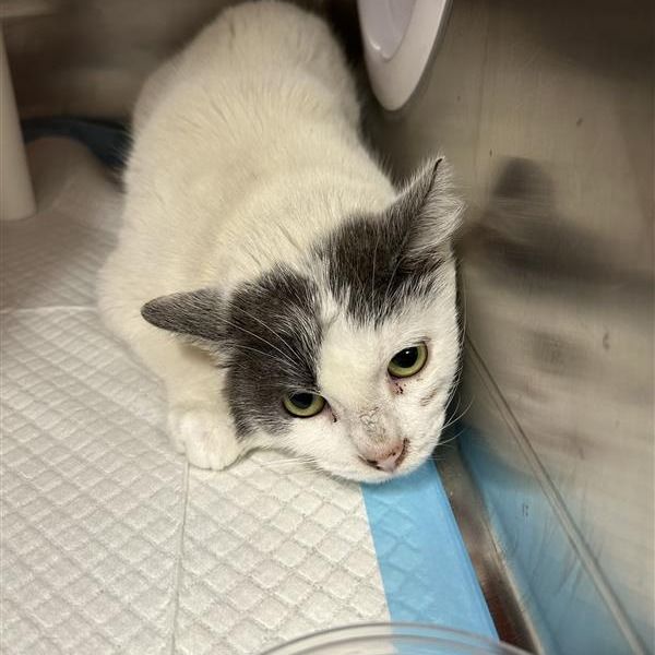 Hello my name is Kali