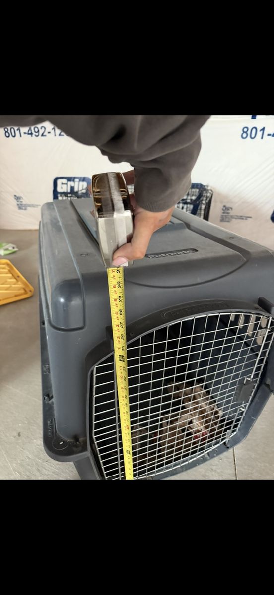 Petmate Vari Kennel Ultra Pet Carrier, Gray, 32-inch, Wire Door