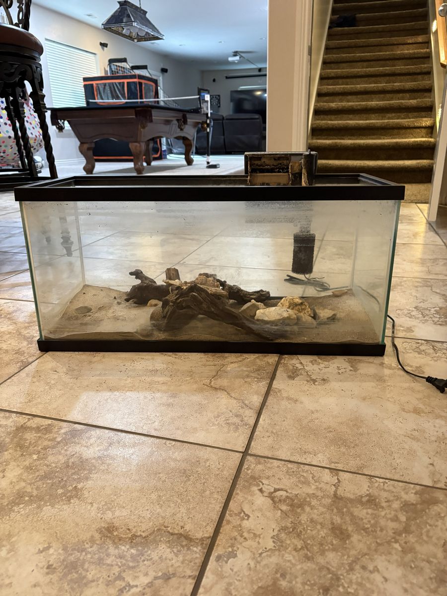 20 Gallon Fish Tank