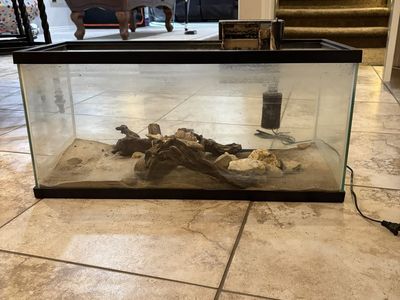 20 Gallon Fish Tank