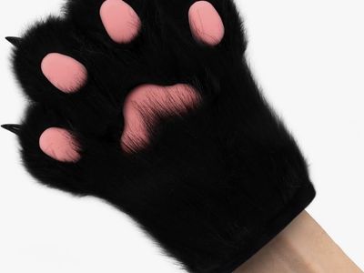 Black Furry Cat Paw Gloves with Pink Pads and Plastic Claws