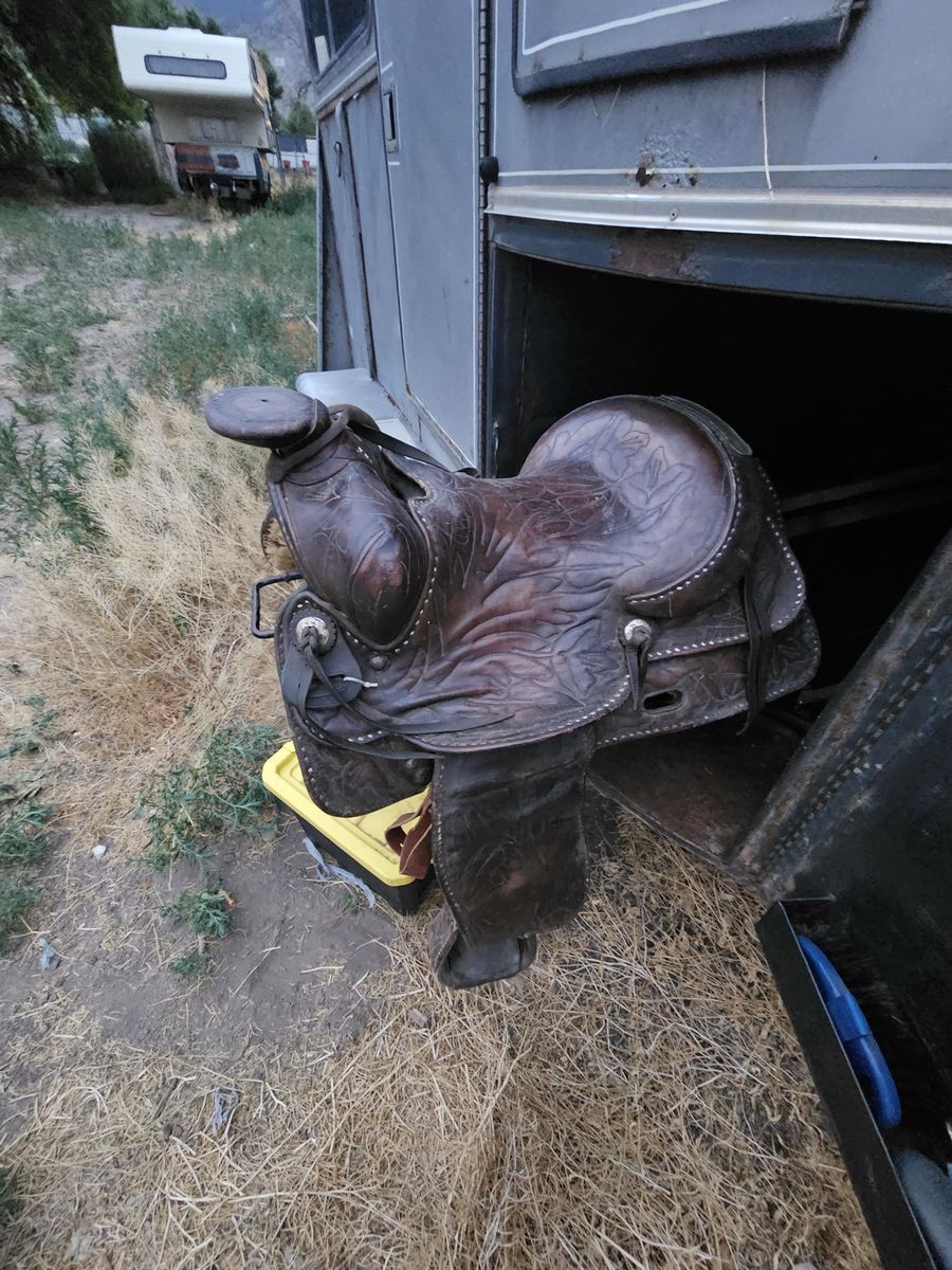 15” saddle