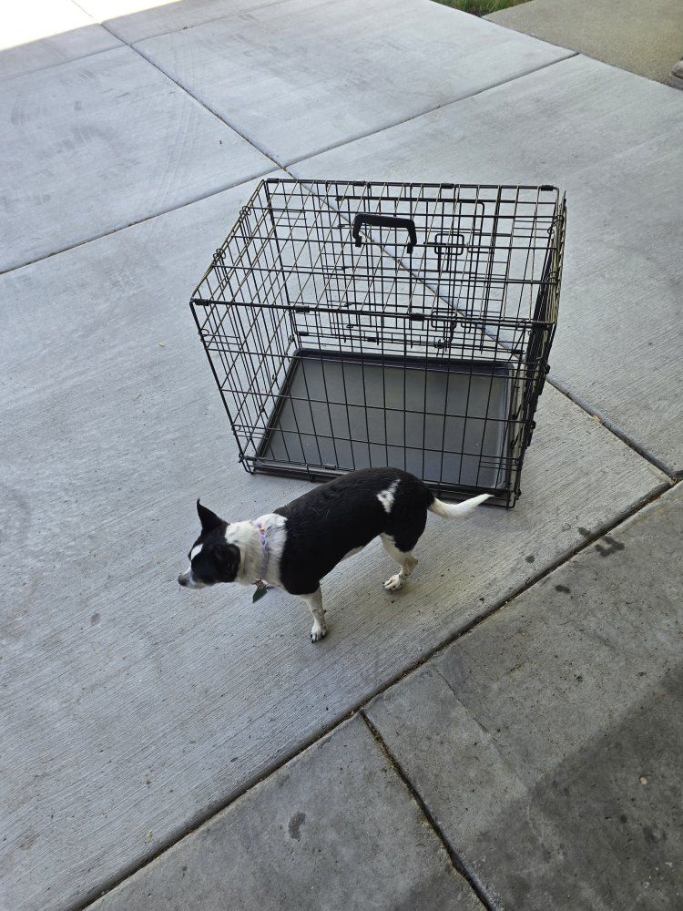 Kennel