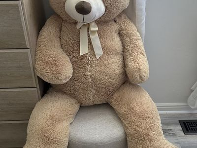 Toy