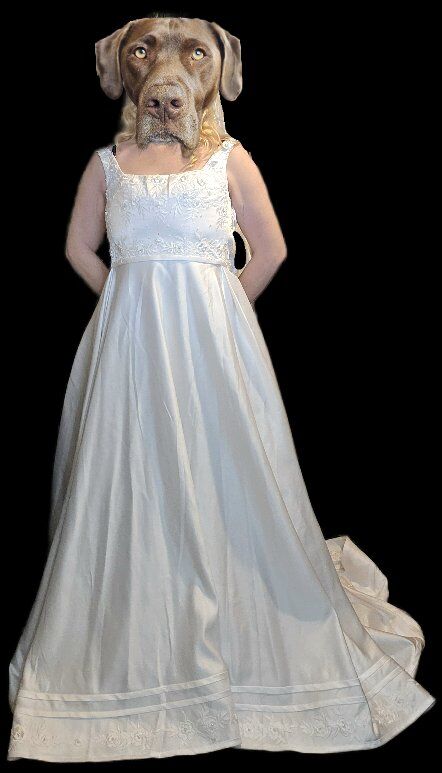 Sz 8 beautifully finished white wedding dress