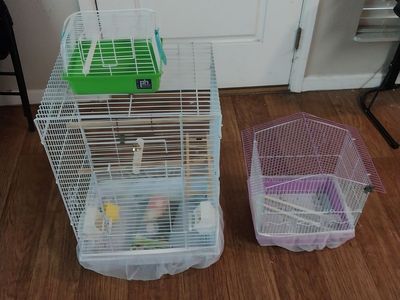 Bird cages