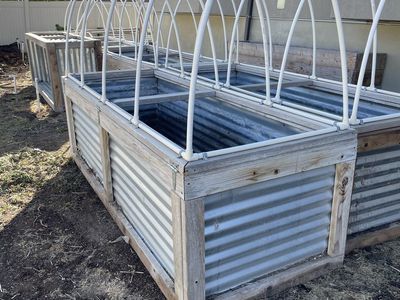 Raised Garden Beds
