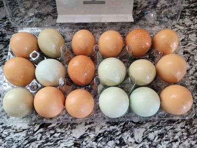 Fresh Eggs - West Lehi