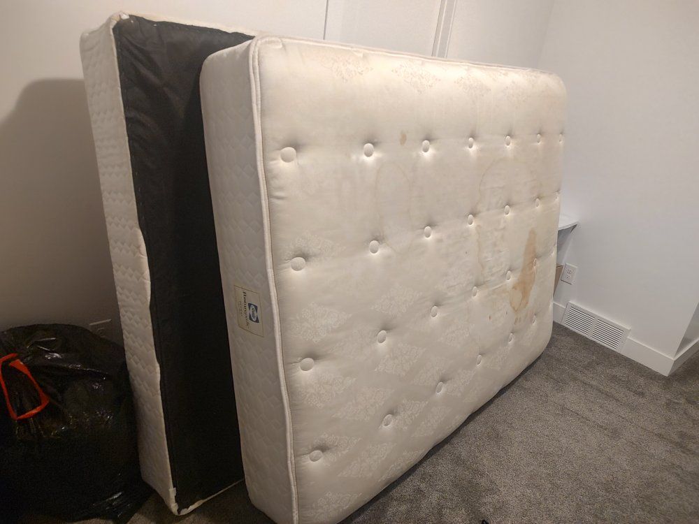 **FREE** Queen Sealy Matress & Boxspring set