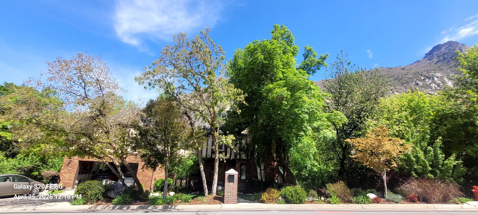 Live in stunning Little Cottonwood Canyon. Safe, friendly neighborhood, great hiking, biking and skiing minutes away!