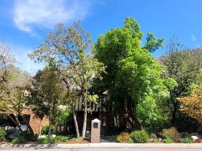 Live in stunning Little Cottonwood Canyon. Safe, friendly neighborhood, great hiking, biking and skiing minutes away!