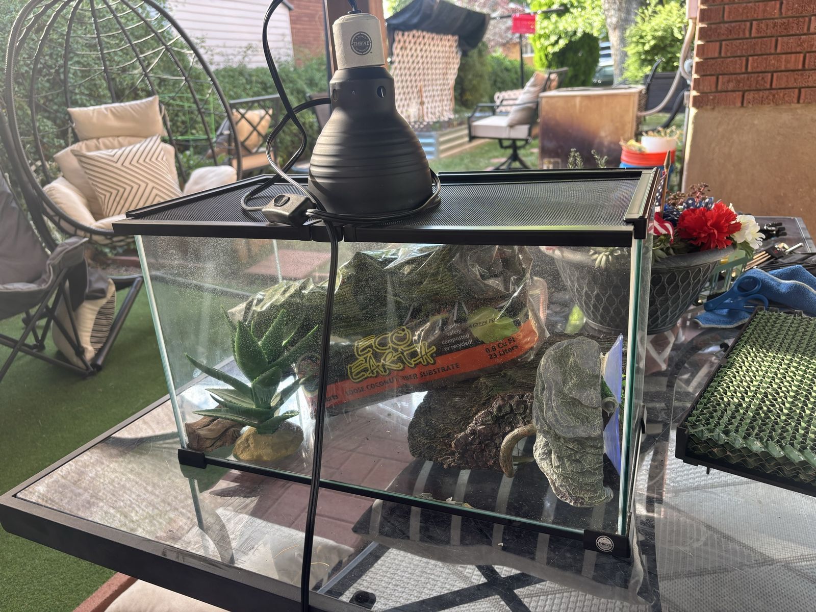 Eco Terra Glass Reptile Terrarium with Heating Lamp, Screen Top, and Accessories