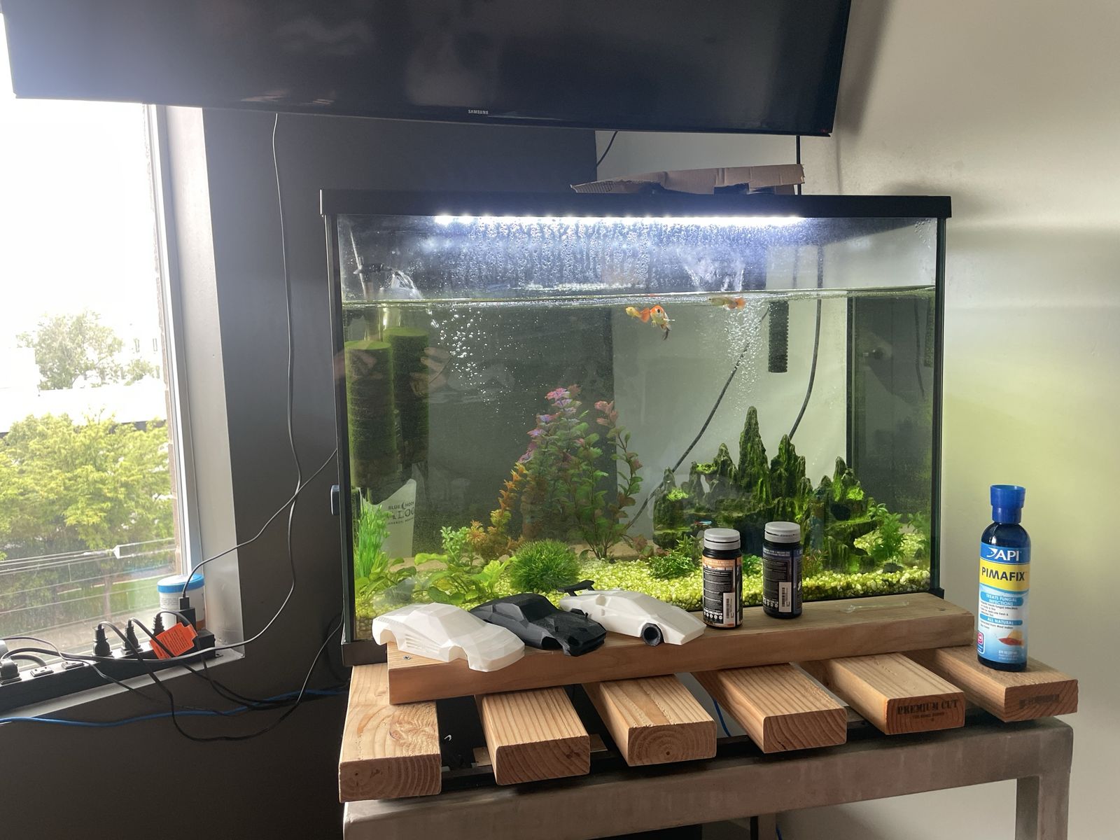 29 gallon fish tank - no fish included