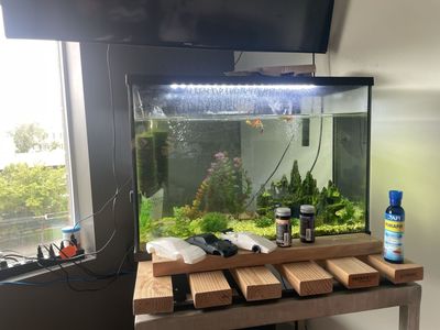 29 gallon fish tank - no fish included