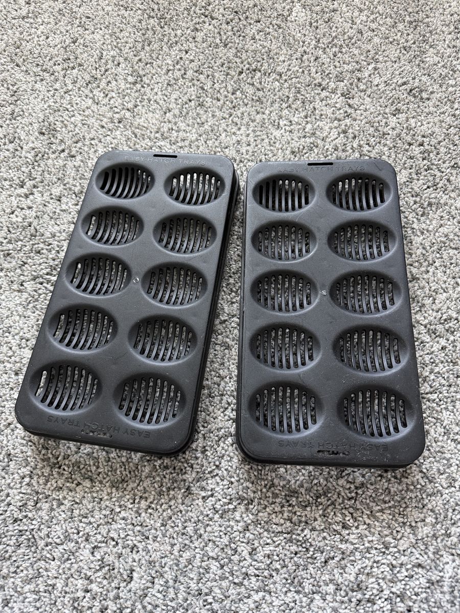Egg Trays