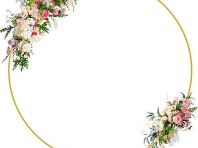 Party balloon arch or decor arch (Gold color)
