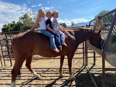 19-20 grade quarter horse kid gelding