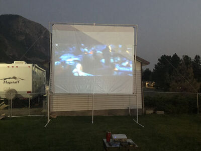 PVC for Projector Screen