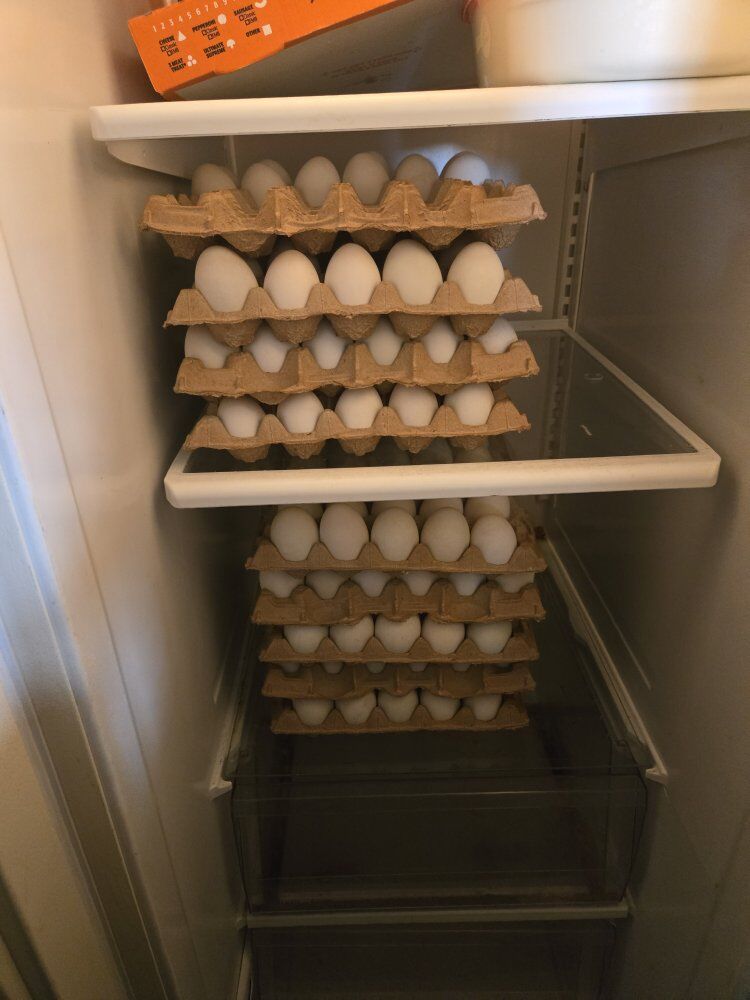 Farm Eggs