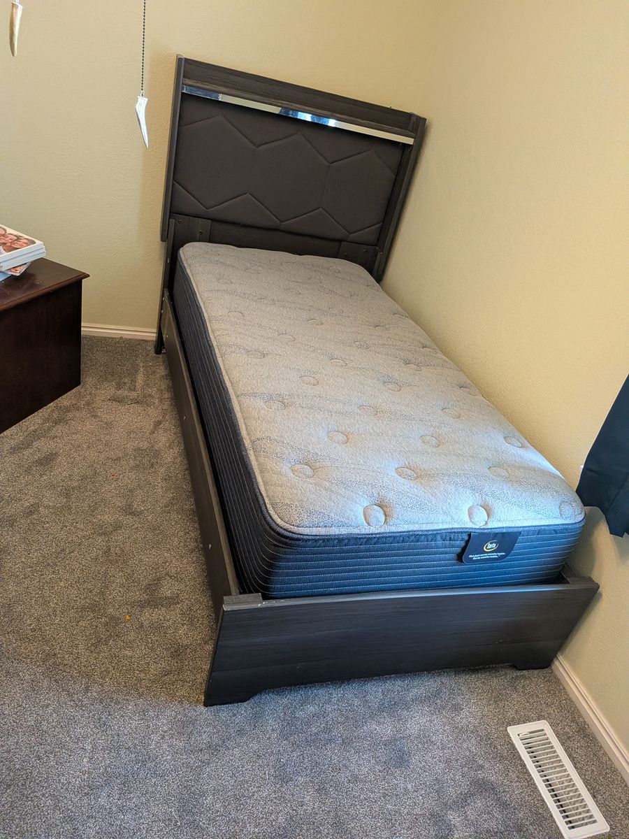 Twin bed frame and mattress