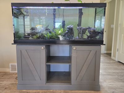 75 gallong tank with everything needed