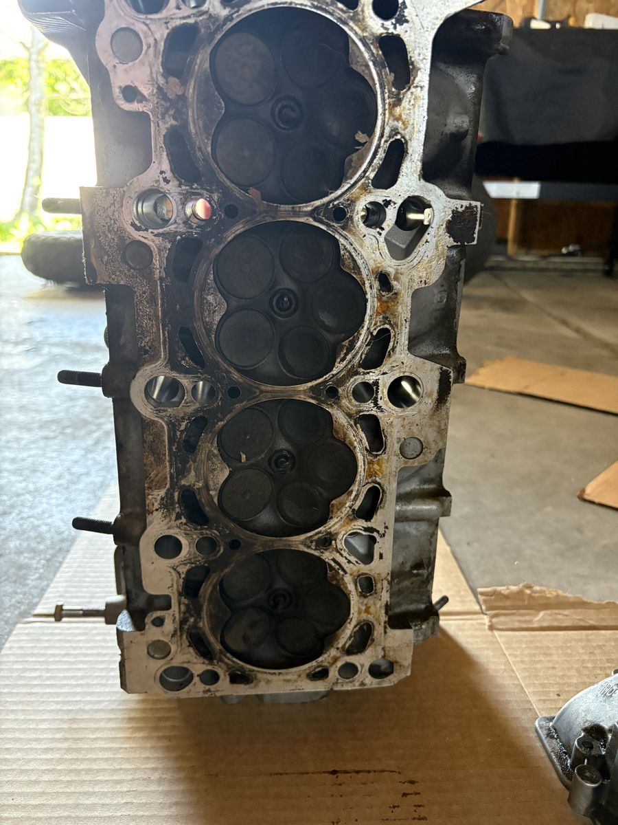 Main image 7