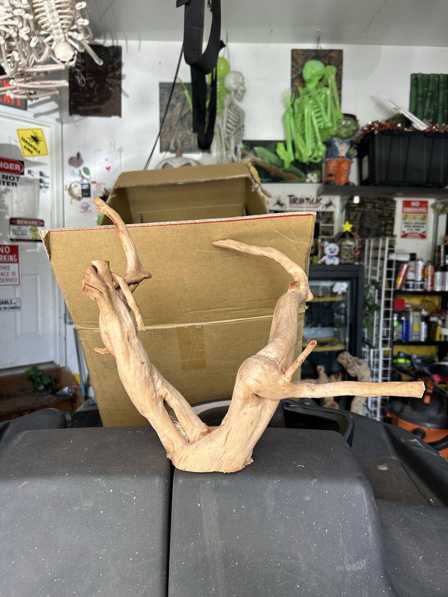Spider wood