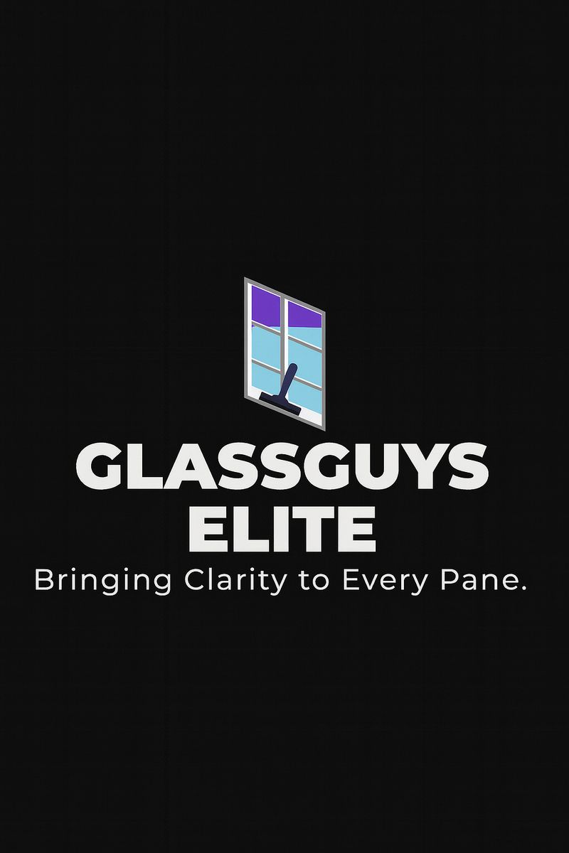 Professional Window Cleaning (int/extr)