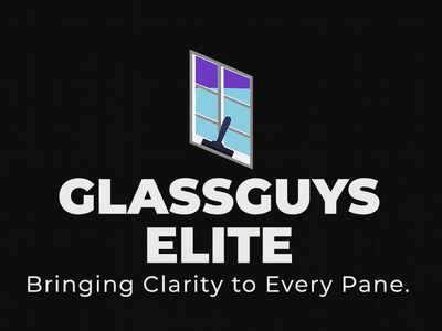 Professional Window Cleaning (int/extr)