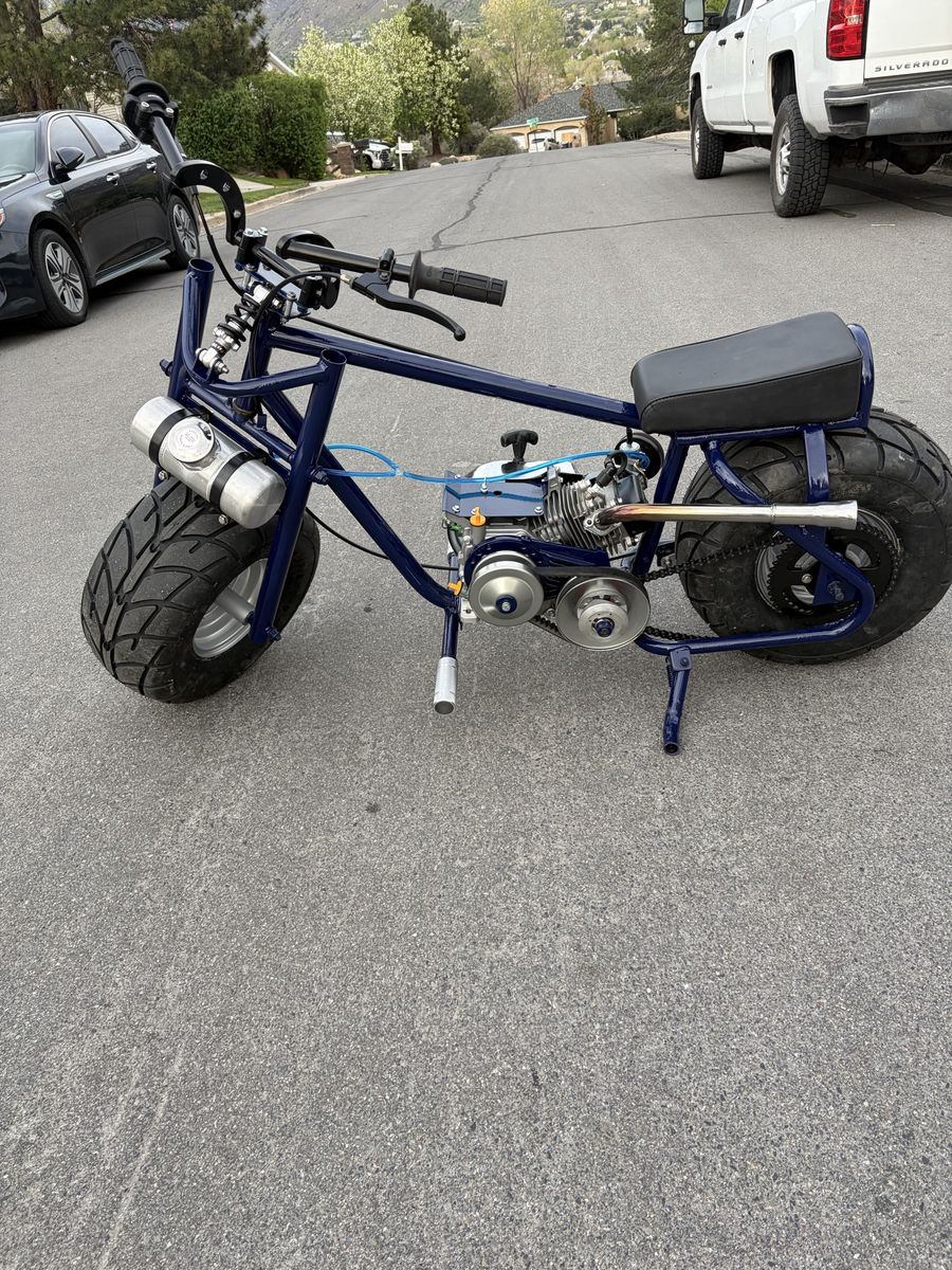 Custom mini bike