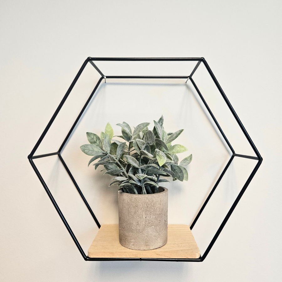 Modern Farmhouse Hexagon Shelves - Metal set of 3