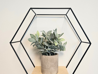 Modern Farmhouse Hexagon Shelves - Metal set of 3