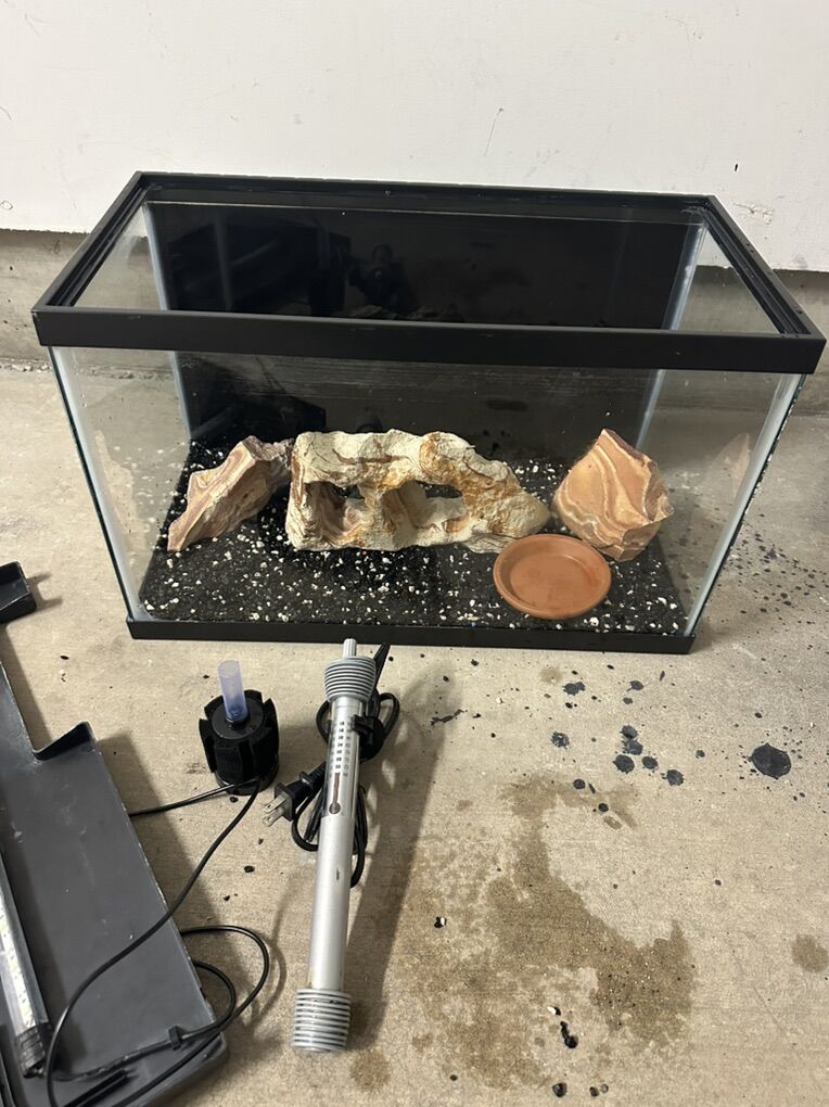 Fish Tank 10 Gallons