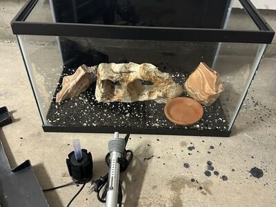 Fish Tank 10 Gallons