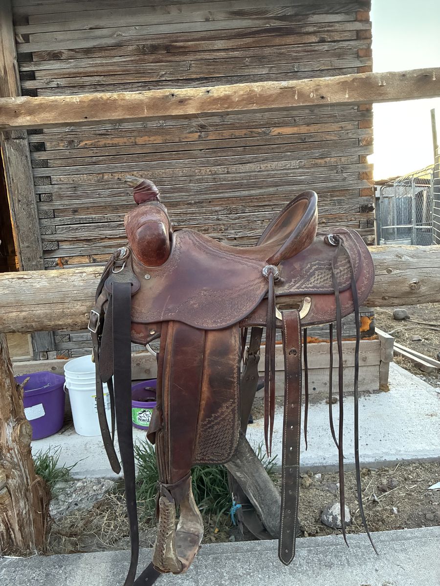 15.5 Ranch Saddle