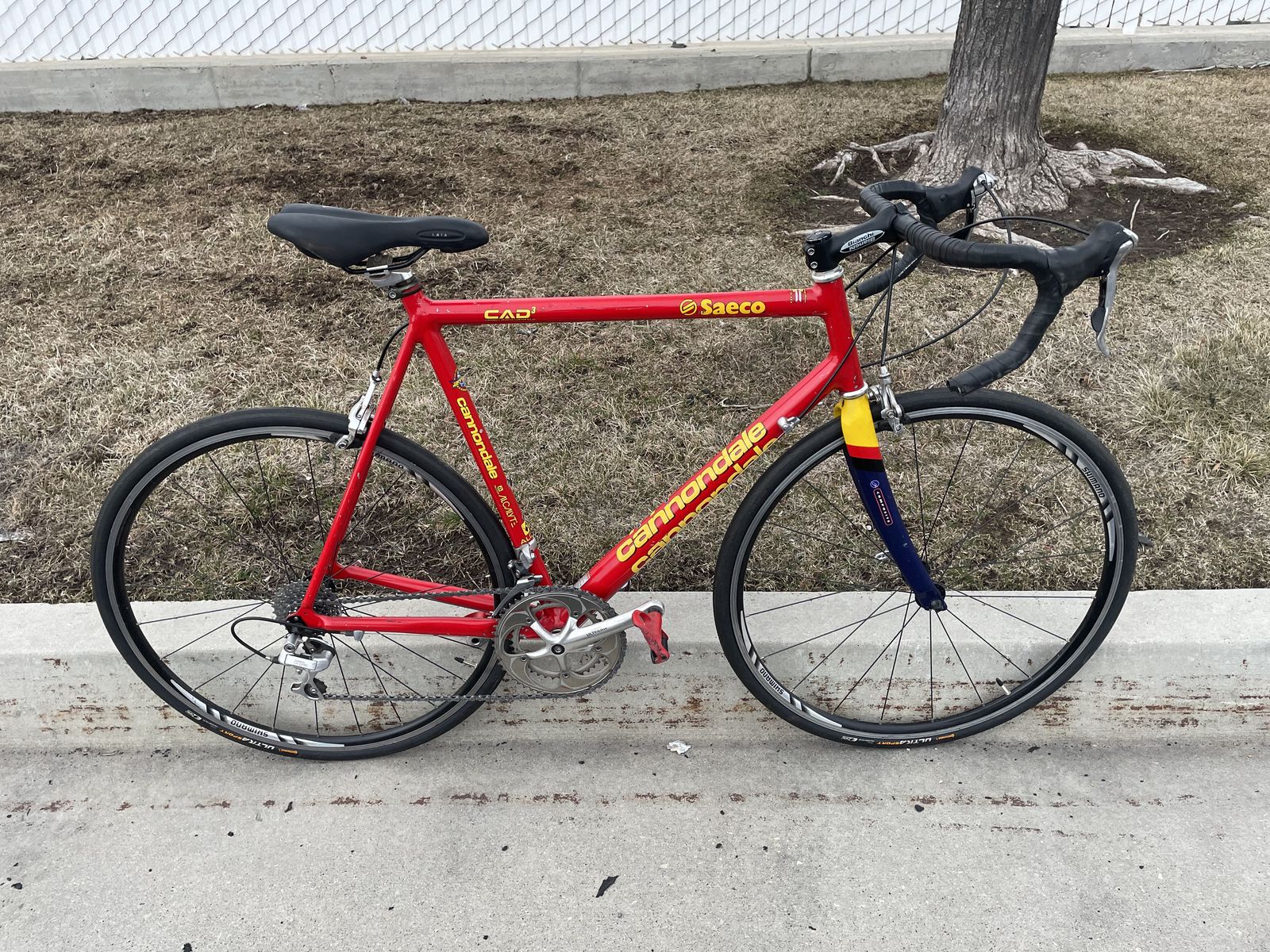 cannondale saeco cad3
