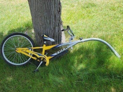Trek mountain tram tag along