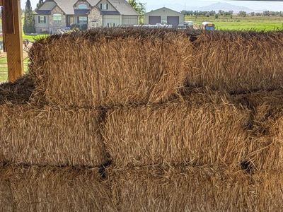 Straw