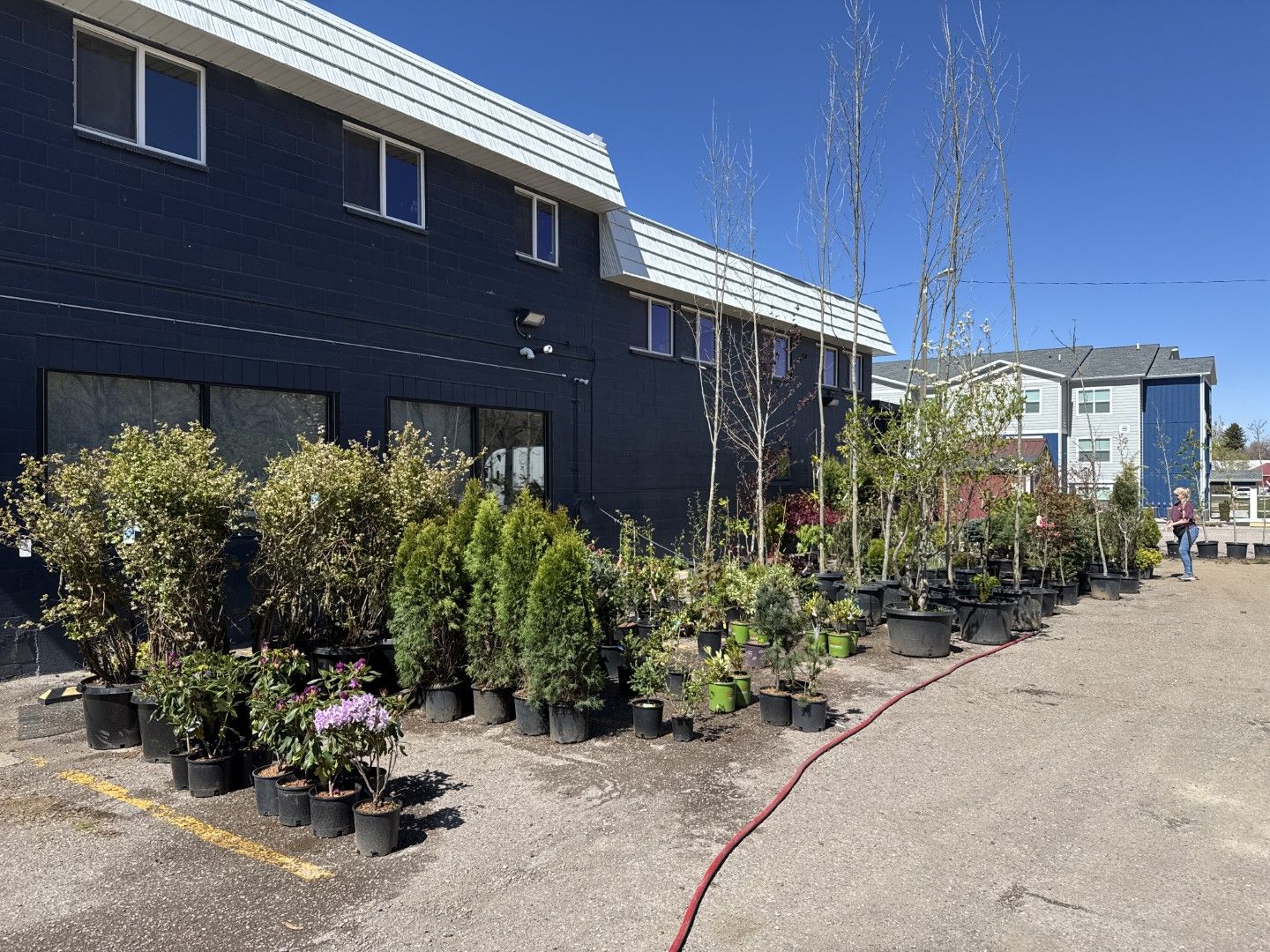 Plants, Trees, Flowers, Shrubs ONLINE AUCTION - Pocatello | Apr. 14th