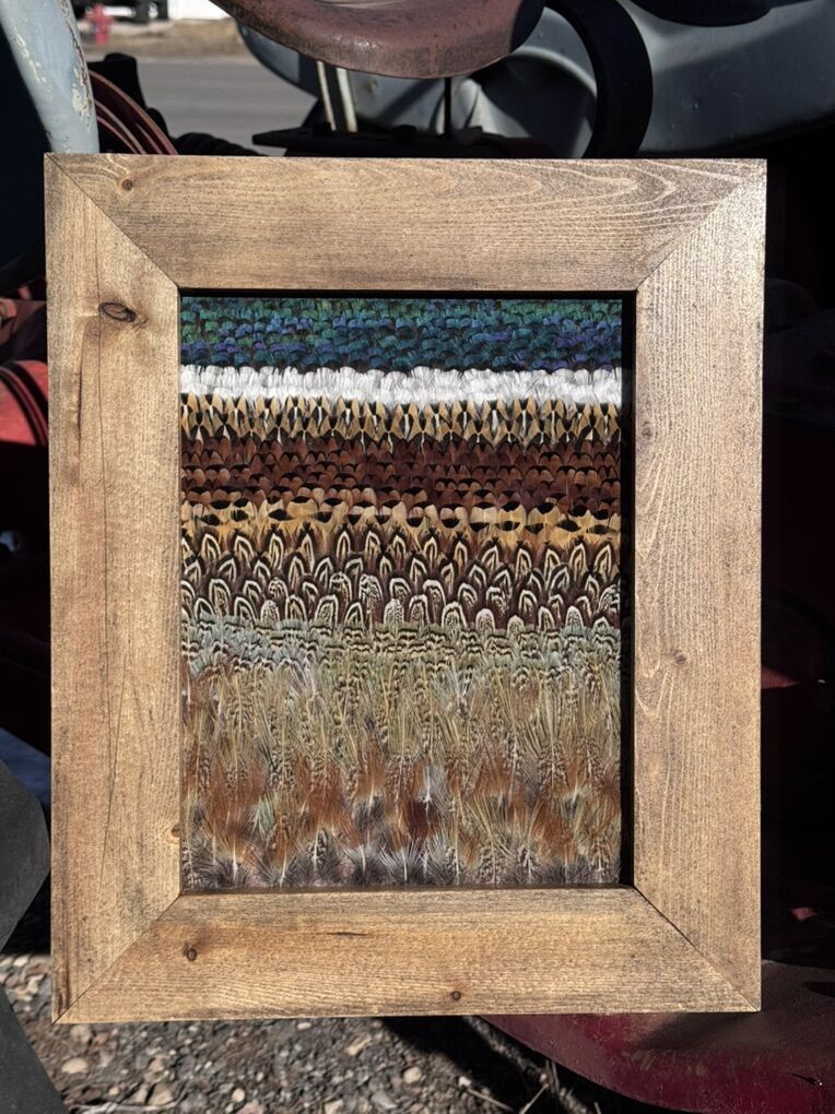 Pheasant Feather Mounts