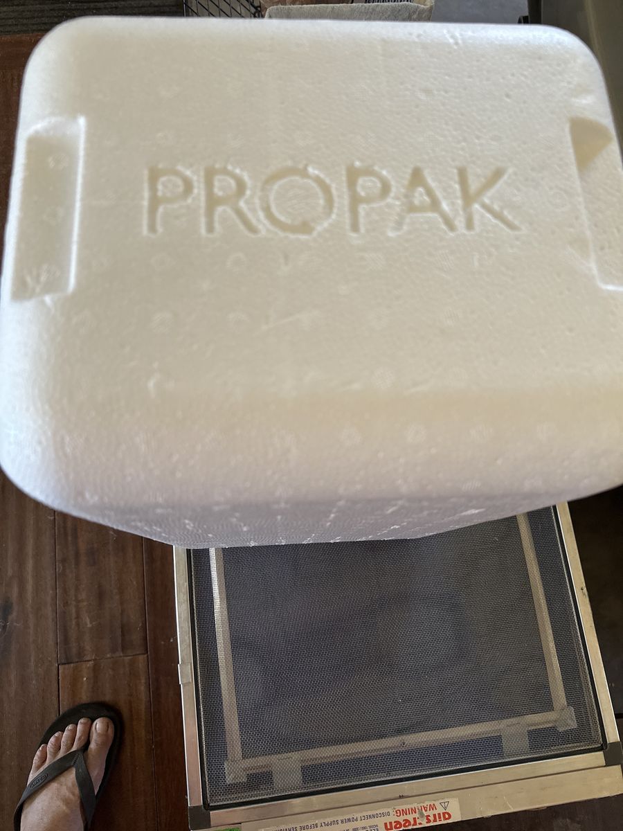 ProPak Styrofoam Cooler Box with ice pack